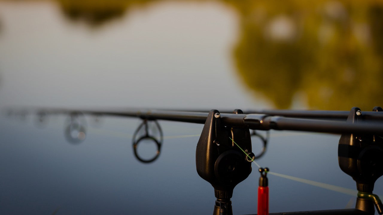 The Best Methods for Carp Fishing