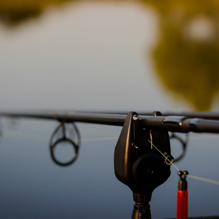 The Best Methods for Carp Fishing